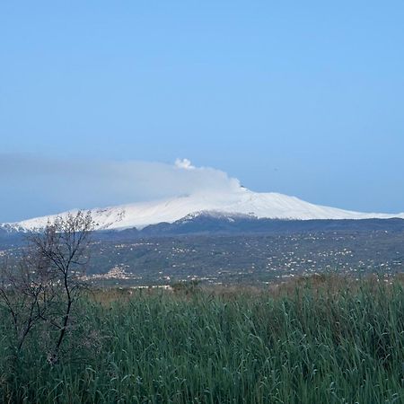 Villa Con Piscina Esclusiva Vista Etna Маскалі Екстер'єр фото