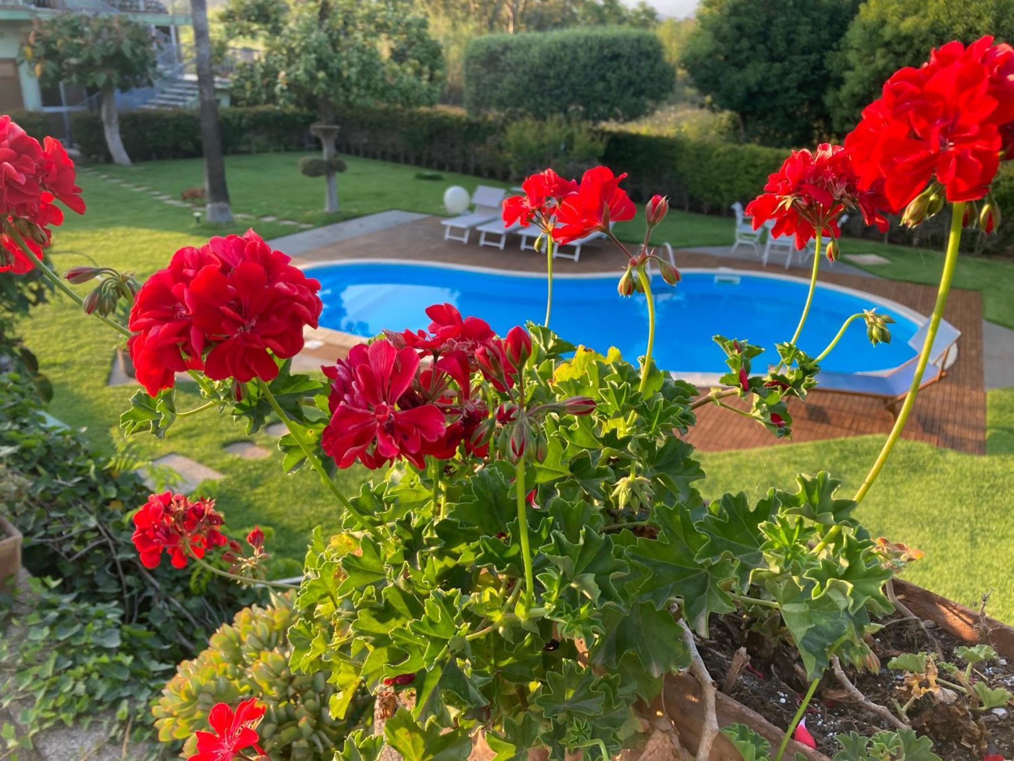 Villa Con Piscina Esclusiva Vista Etna Маскалі Екстер'єр фото